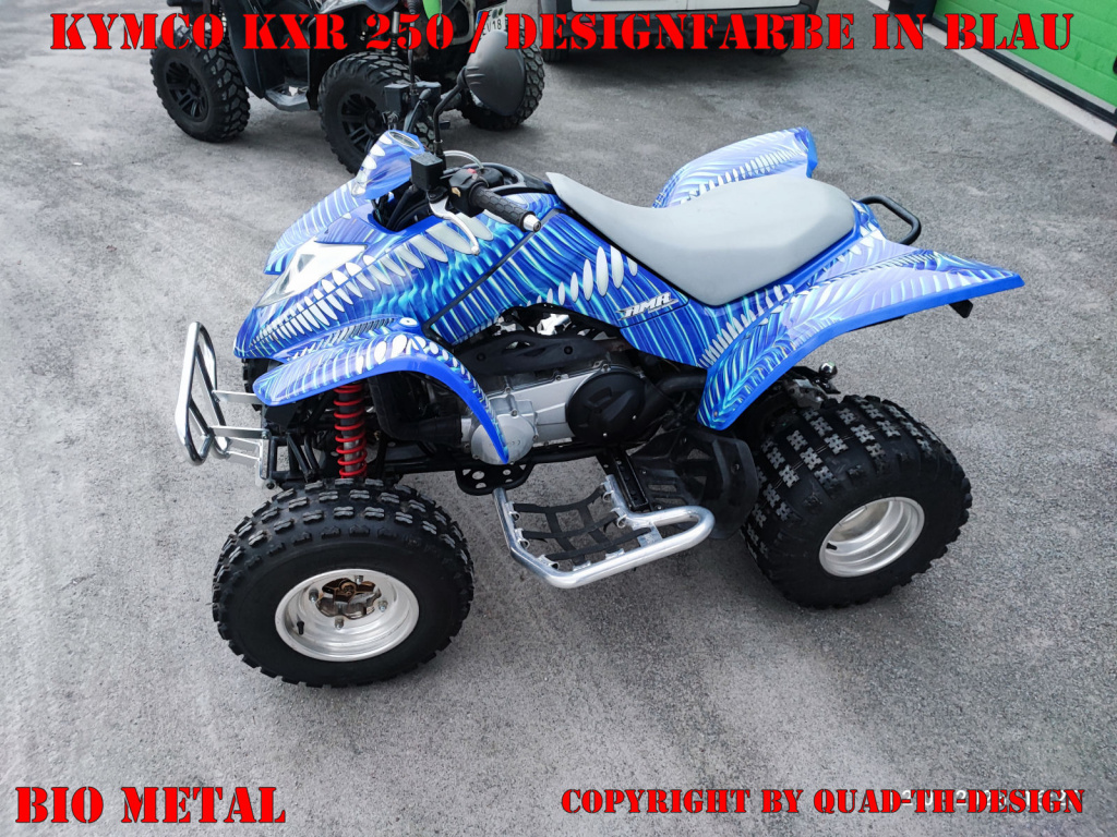 Bio Metal in Blau auf einer Kymco Mongoose 250/300