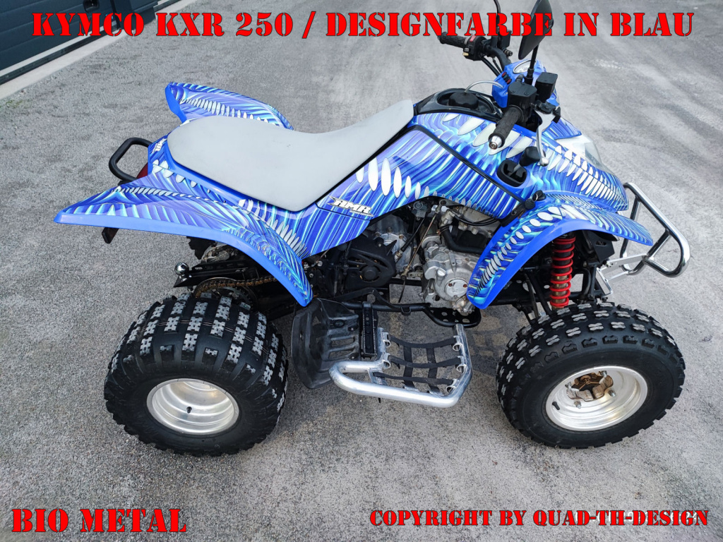 Bio Metal in Blau auf einer Kymco Mongoose 250/300