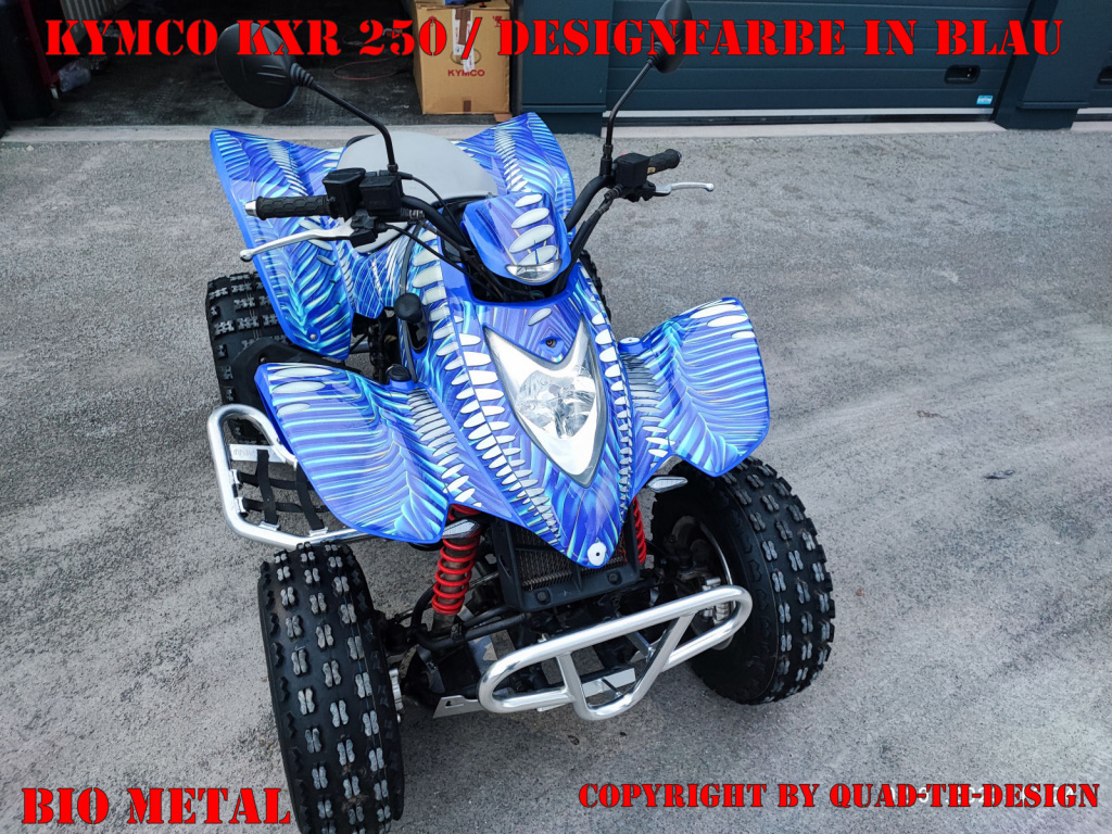 Bio Metal in Blau auf einer Kymco Mongoose 250/300