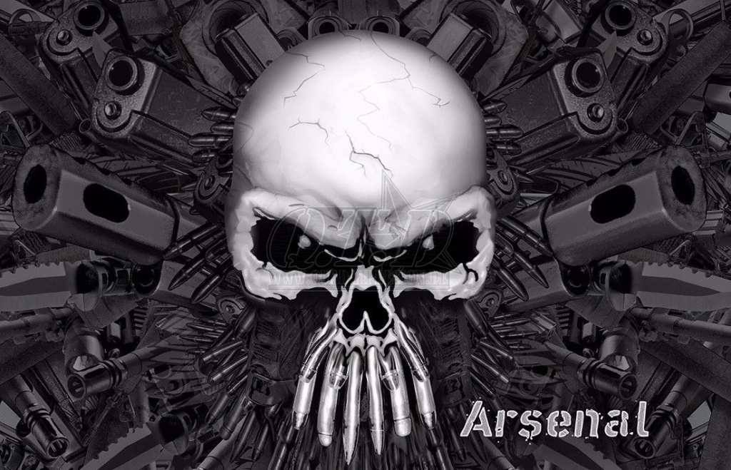 Arsenal Schwarz für Polaris RZR 900S/1000S 2 Türer 2015-2020