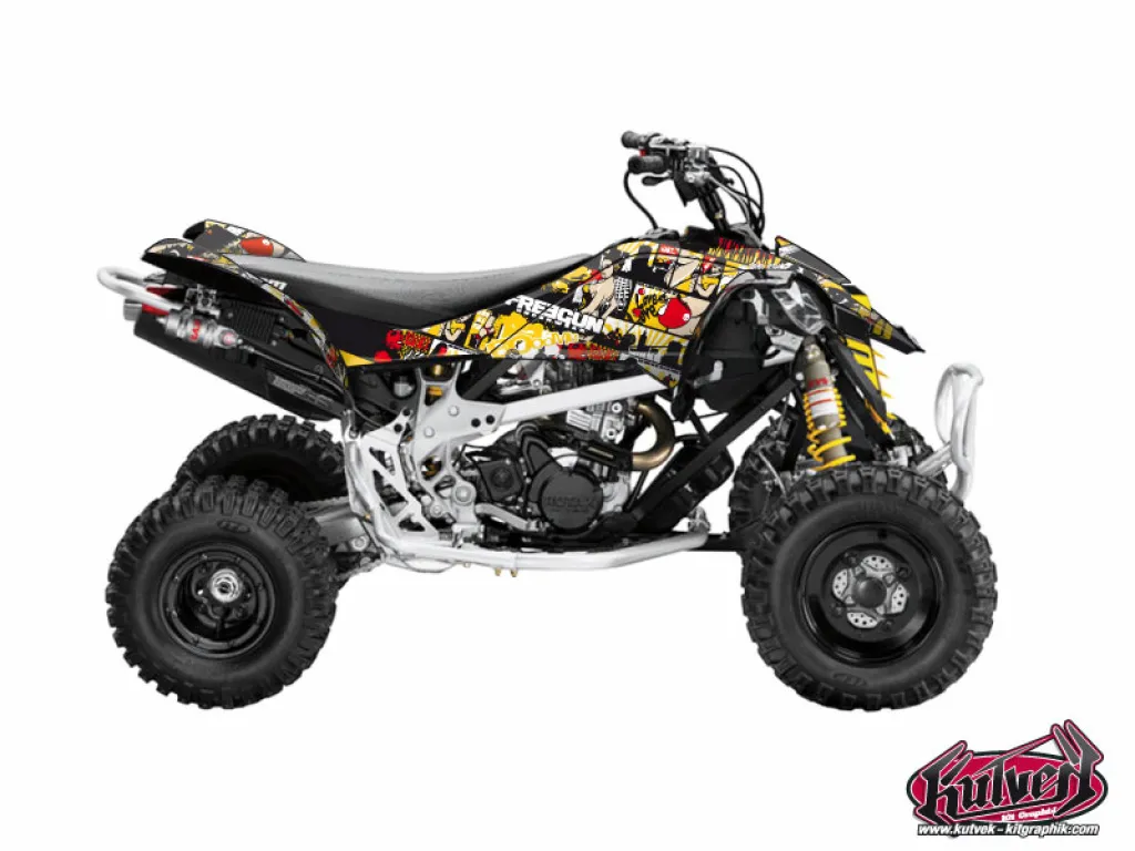 Freegun für CAN-AM DS 450