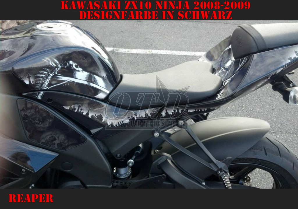 Reaper Schwarz für Kawasaki ZX10 Ninja Sport 2008-2009