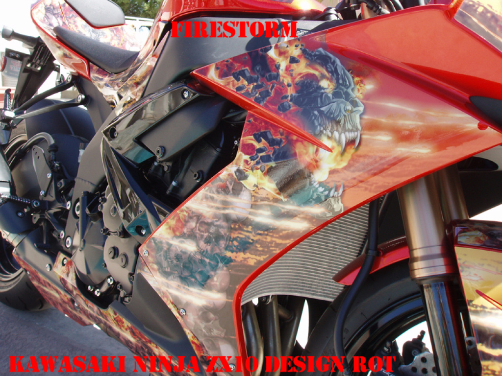 Firestorm Rot für Kawasaki ZX10 Ninja Sport 2008-2009