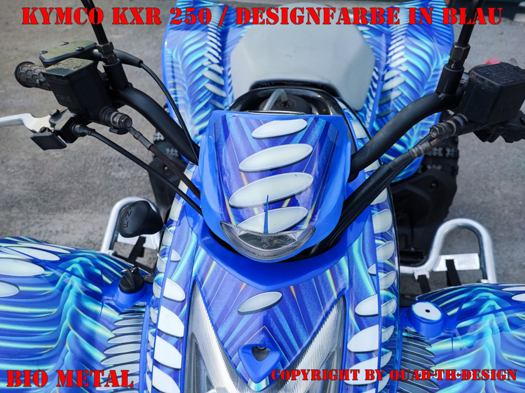Bio Metal in Blau auf einer Kymco Mongoose 250/300