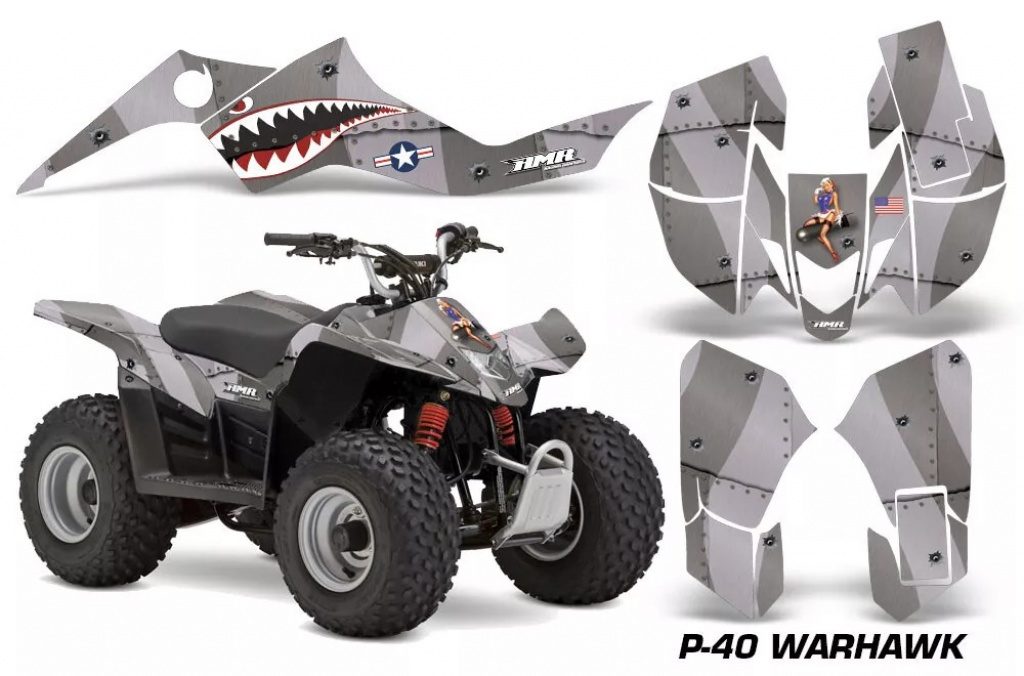 P40-Warhawk Silber für Suzuki LTZ 50