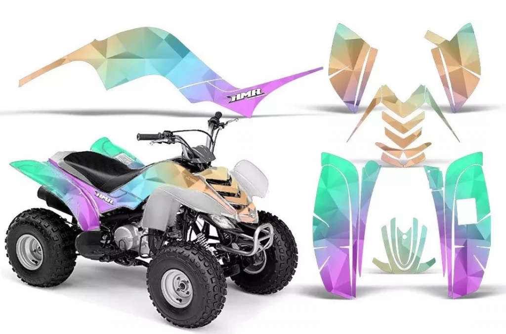 Slick für Yamaha Raptor 80