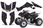2. AMR graphic kits for Honda TRX 300EX 2007-2013