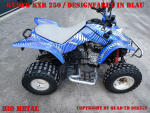 Bio Metal für Kymco Mongoose 250/300