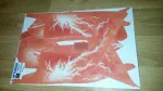 Yamaha Raptor YFM 700 06-12 Ride the Lightning orange